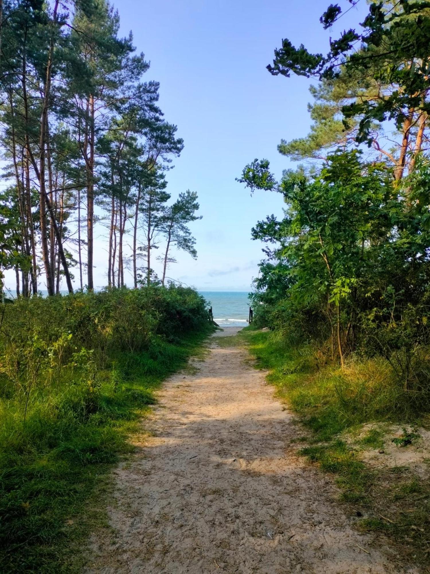 Nowy Apartament Z Tarasem Stacja Baltic Twins Daire Sztutowo Dış mekan fotoğraf